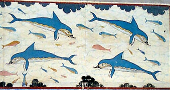 Dolphins-Detail