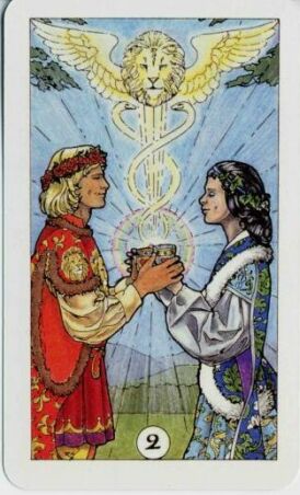 The Robin Wood Tarot